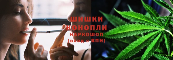 тгк Магас