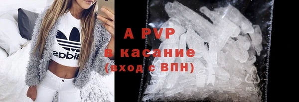 тгк Магас