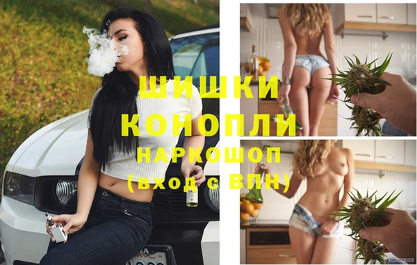 тгк Магас
