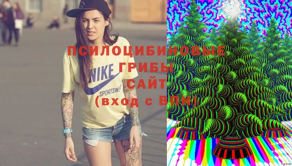 тгк Магас