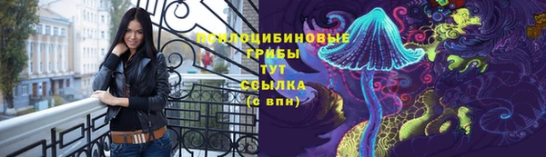 тгк Магас