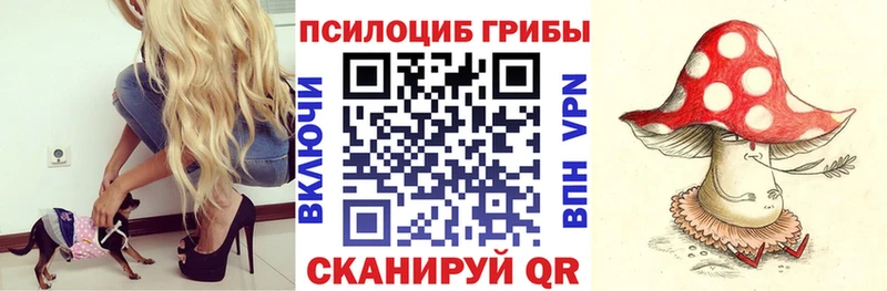 Псилоцибиновые грибы мухоморы  Купить где  Пущино 
