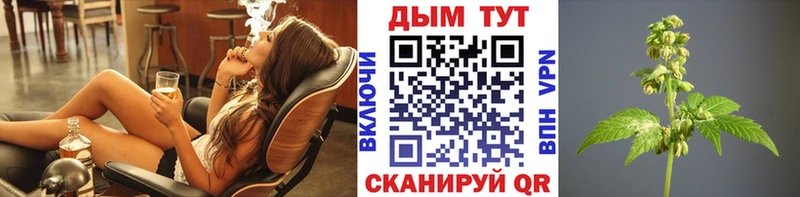 Купить закладки  Пущино  Конопля тримм 